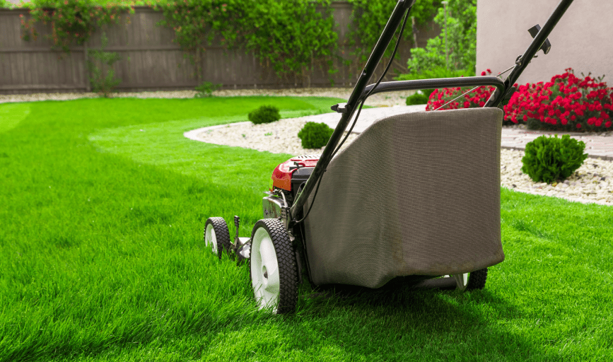 Lawn Care
